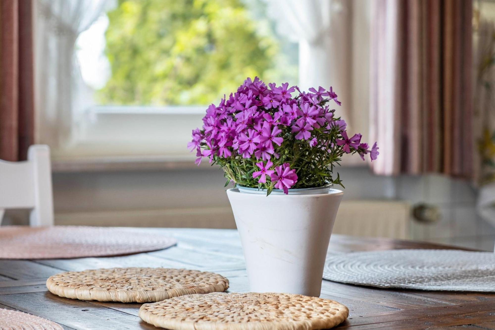 Hirschenhaeusle Appartement Sankt Märgen Buitenkant foto